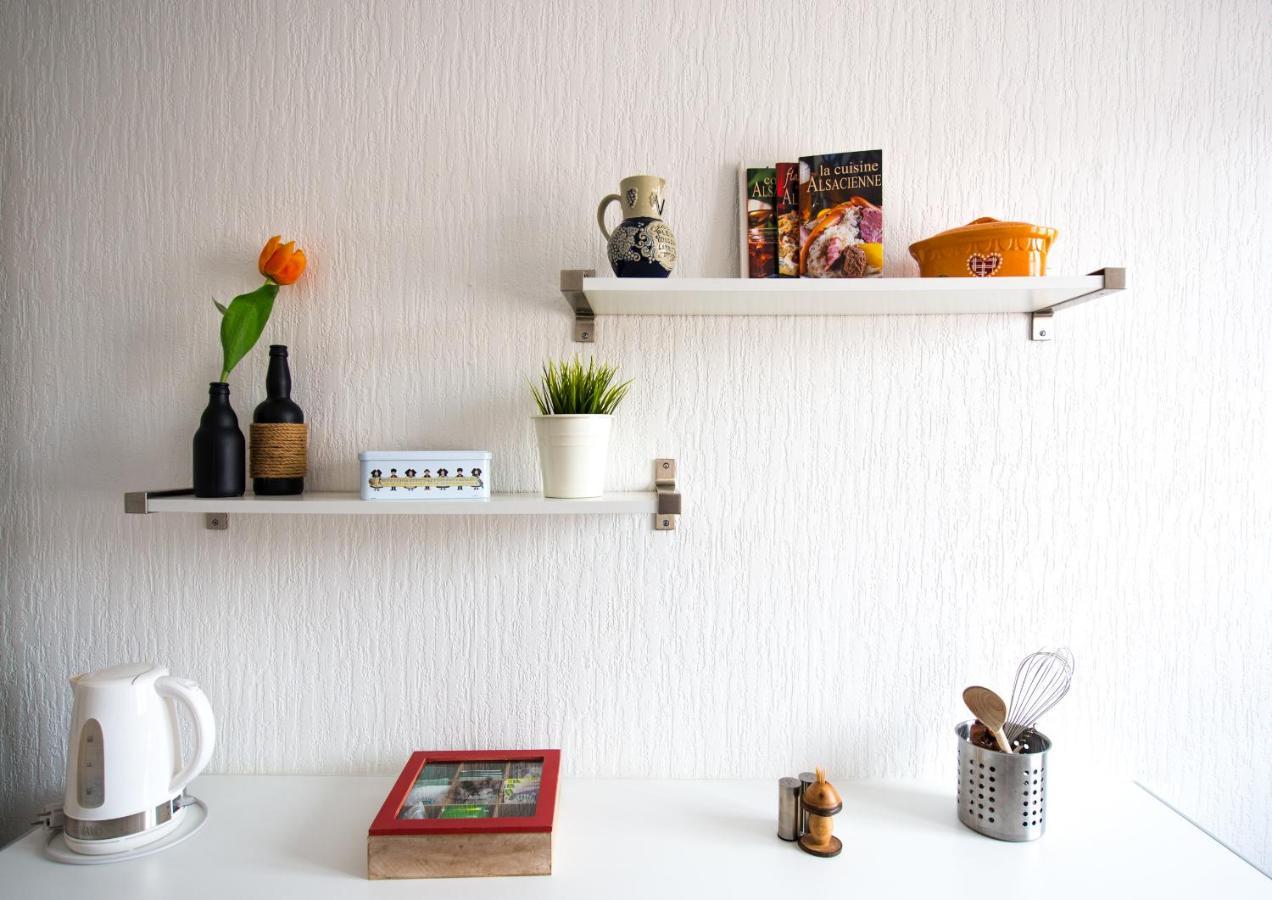 Appartement Le petit nid de Max et Sophie à Colmar Extérieur photo